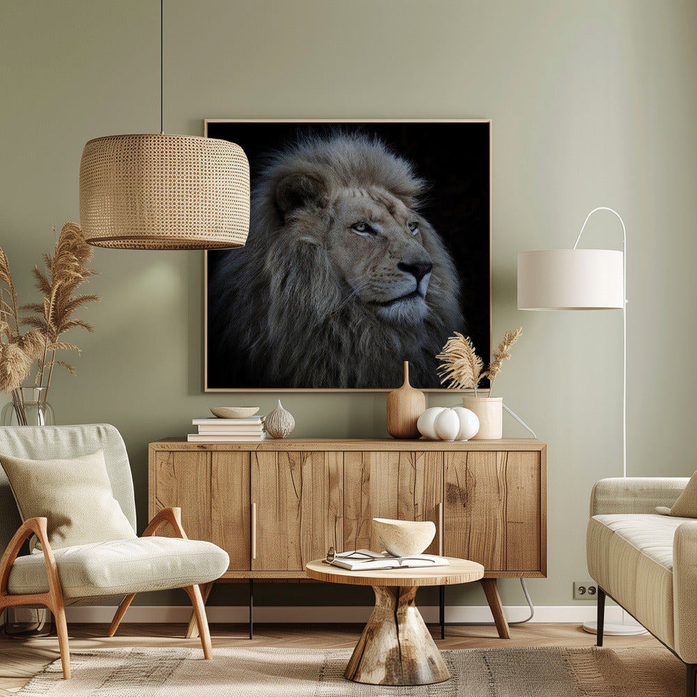 Proud Lion | Canvas