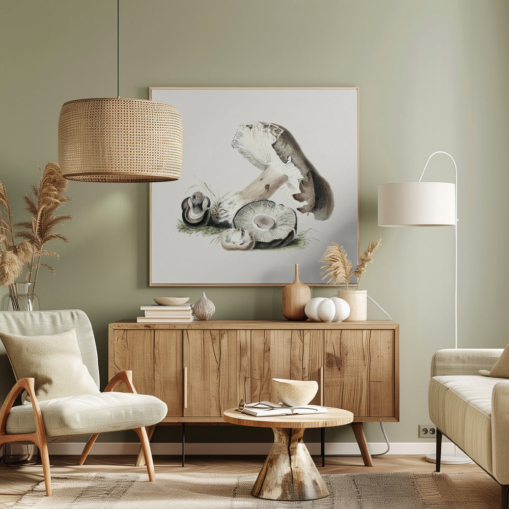 Vintage Agaricus Augustus Grzyb | Wydruki na łótnie