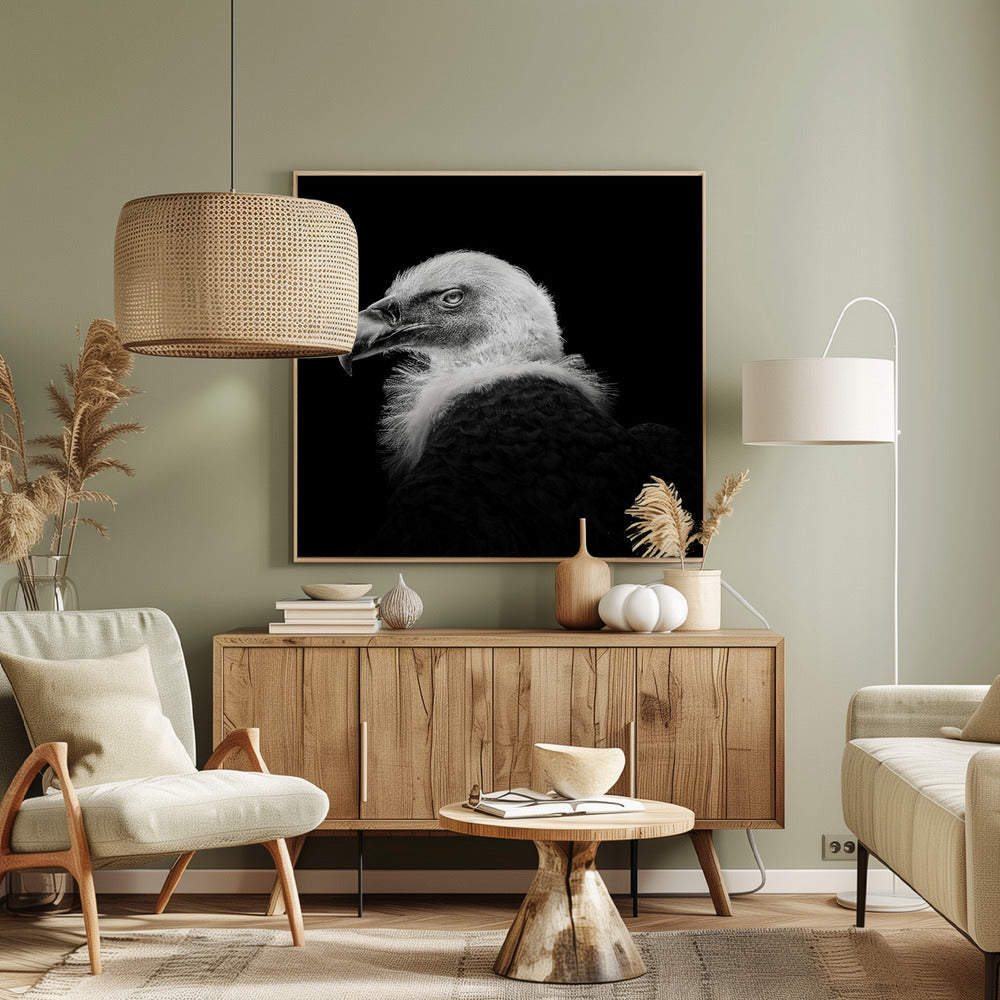 Euraasiangriffoni #7 | Canvastaulut