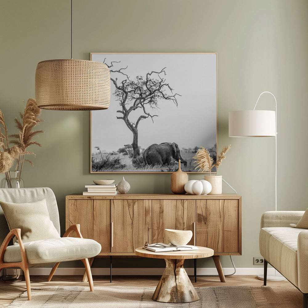 Drzewo i słoń | Wydruki na łótnie