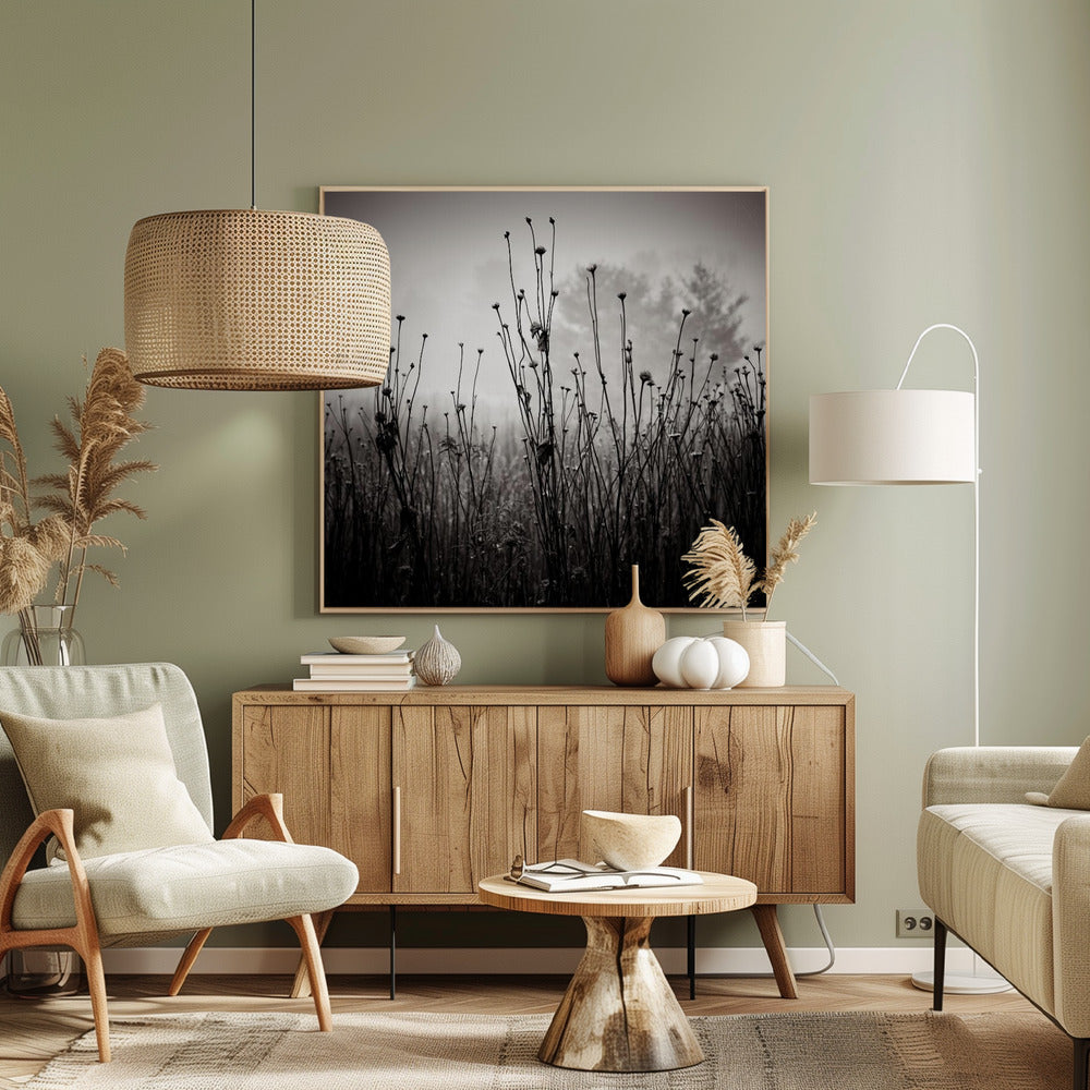 Rośliny łąkowe 1 | Wydruki na łótnie