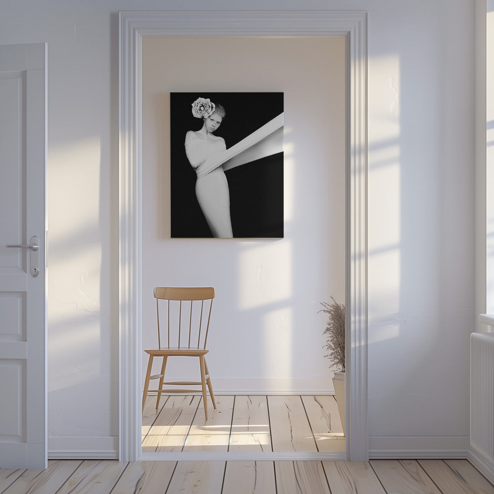 Elegantti arvoitus | Canvastaulut