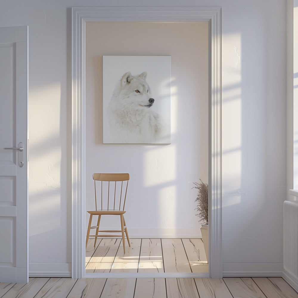 Portrait d'un loup arctique | Tableaux sur Toile
