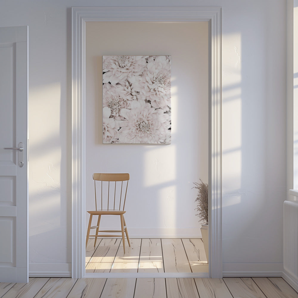 Chrysanthemum No 07 | Canvas