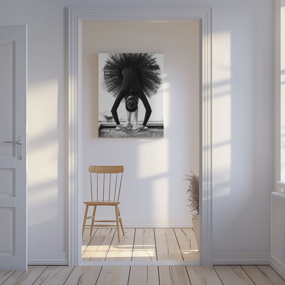 Ballerina | Canvastaulut