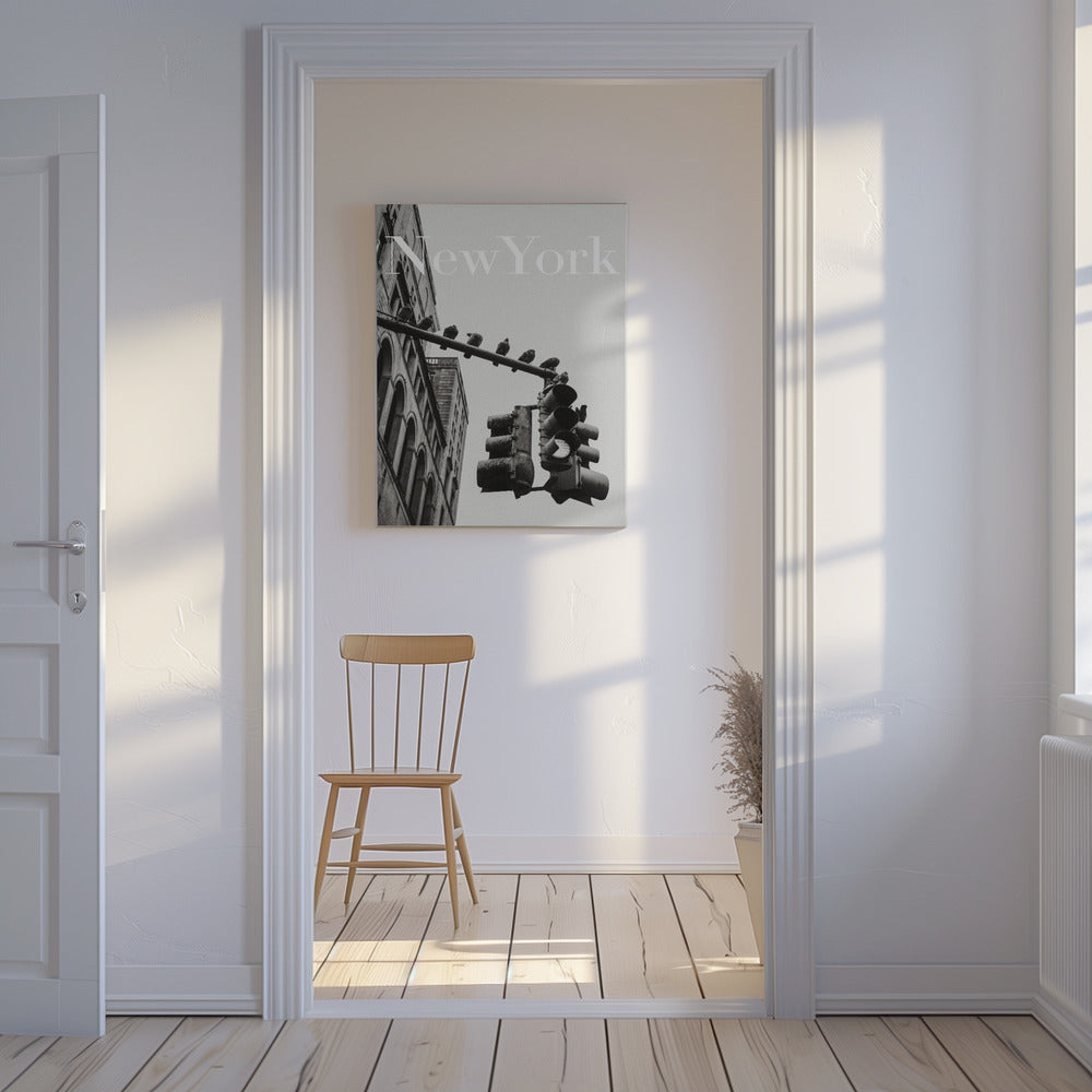 Gołębie z Nowego Jorku | Wydruki na łótnie