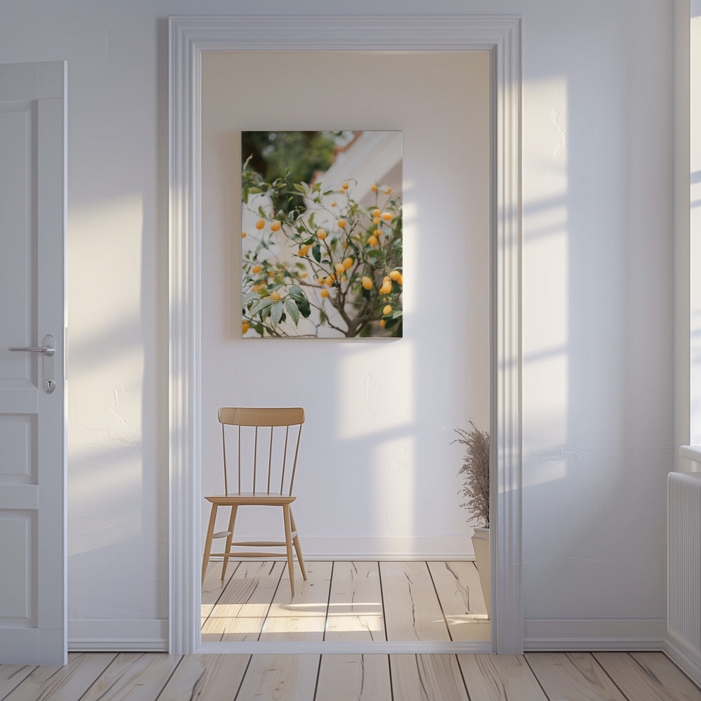 Orange Capri | Leinwand