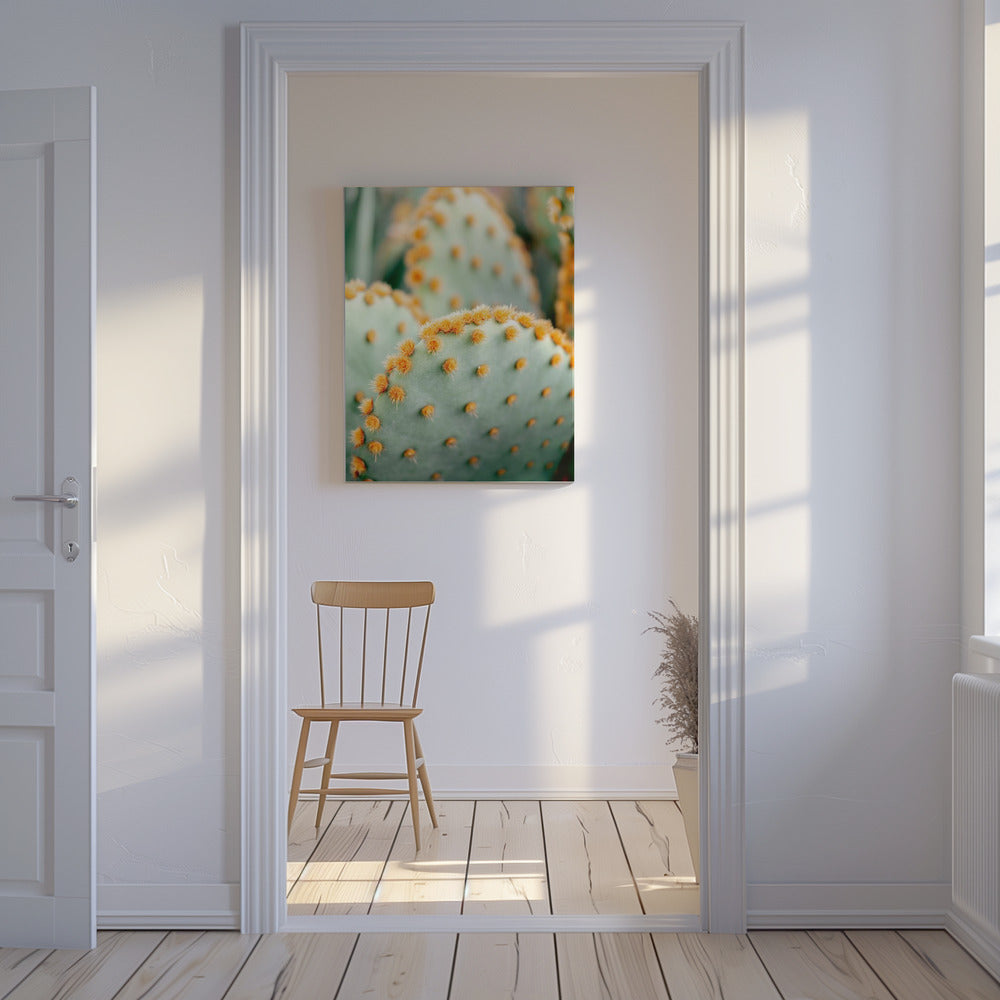 Orange und Grün II – Botanische Fotografie aus Marrakesch | Leinwand