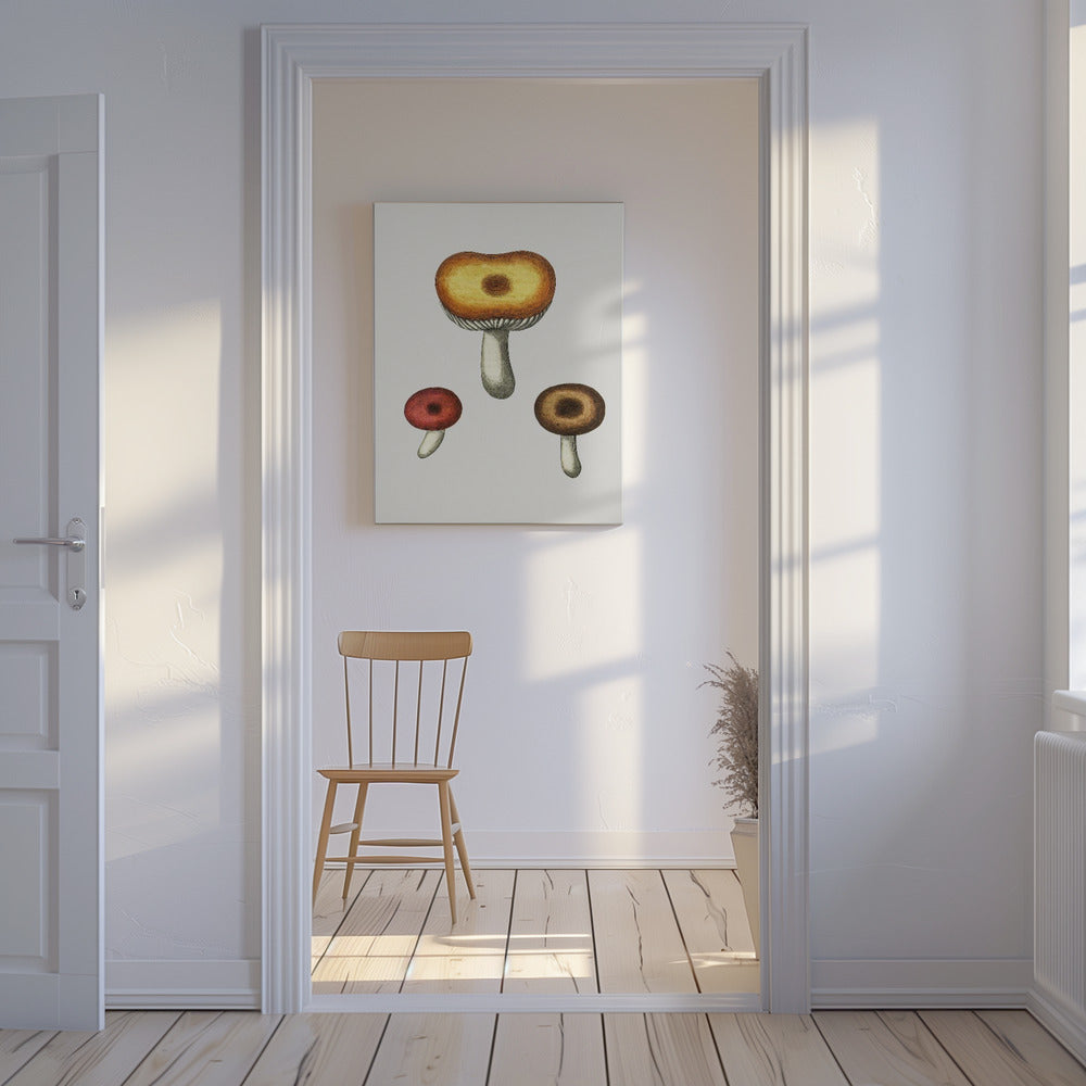Hand Drawn Galerina Mushroom | Canvas