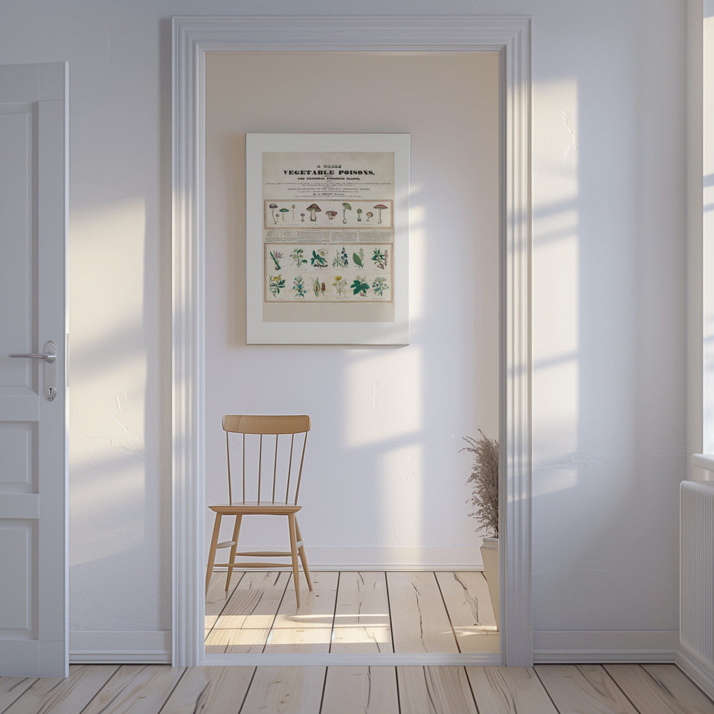Poisonous Mushrooms Irritating Poisons | Canvas