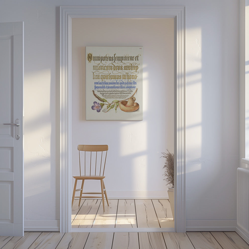 Mushroom Poster | Canvas