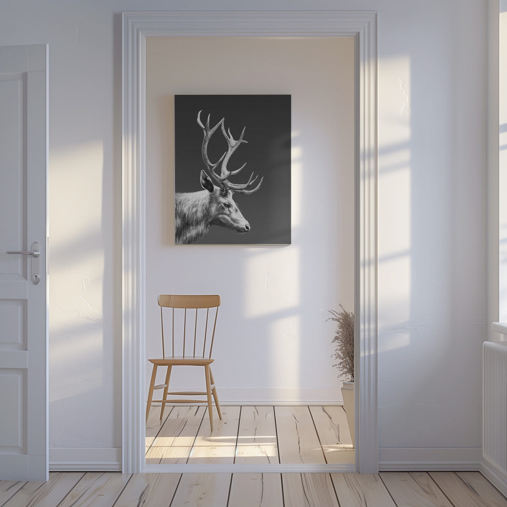 Rentier | Leinwand-Bilder