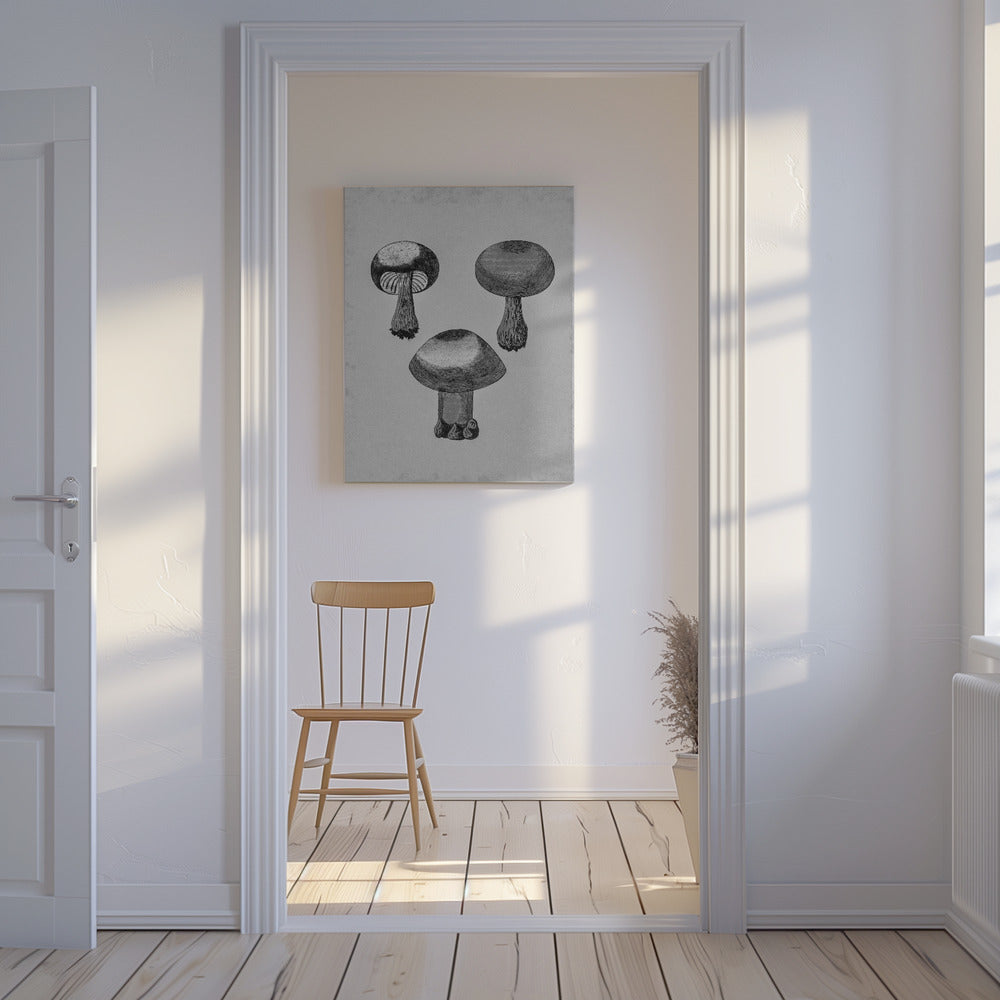 Violet Webcap Mushroom | Canvas