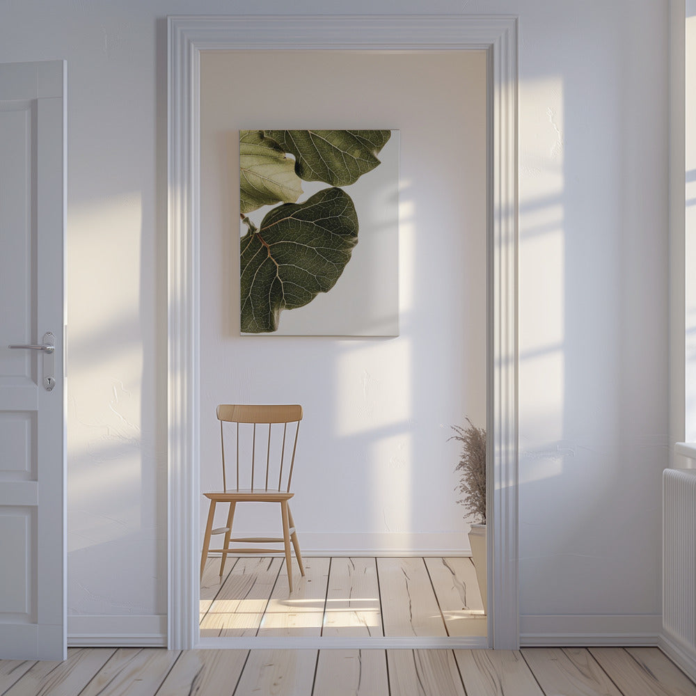 Abutifolia nr 1 | Canvas