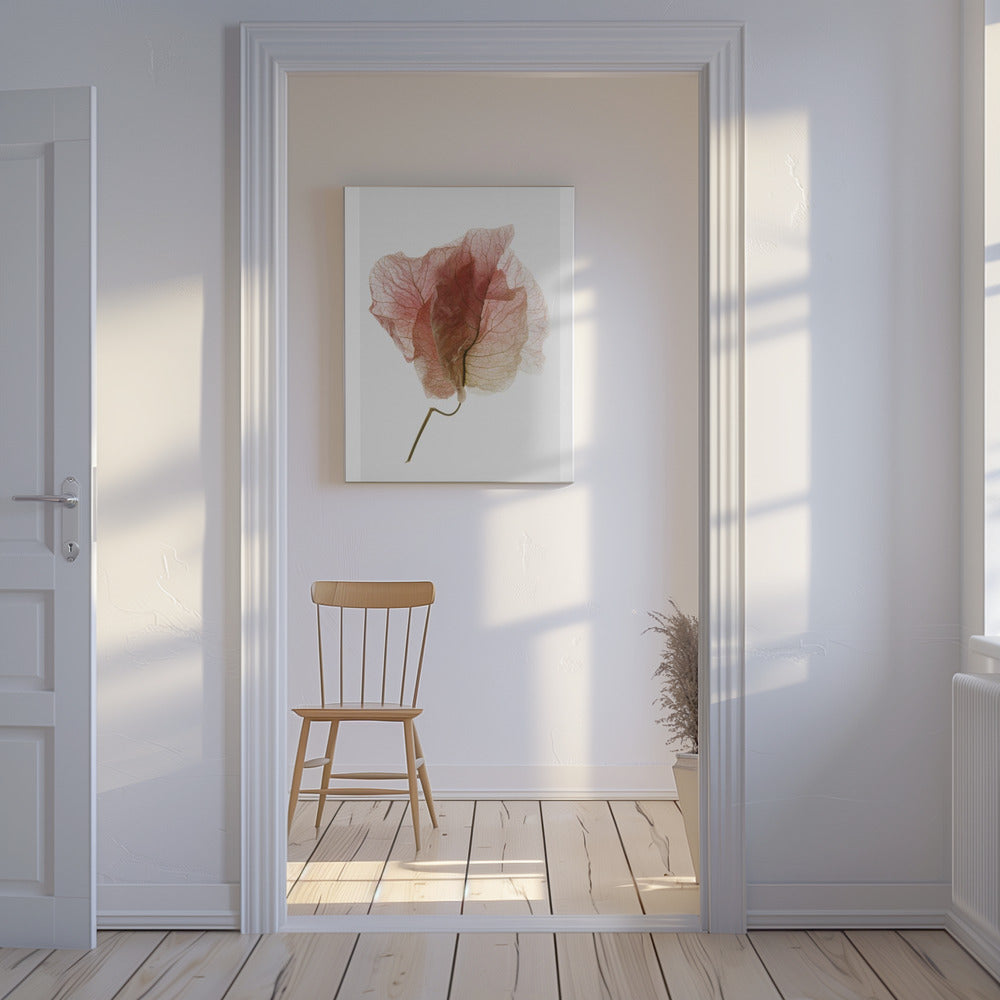 Bougainvillea-studie nr 4 | Canvas
