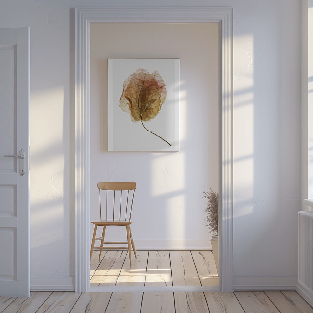 Bougainvillea-studie nr 6 | Canvas