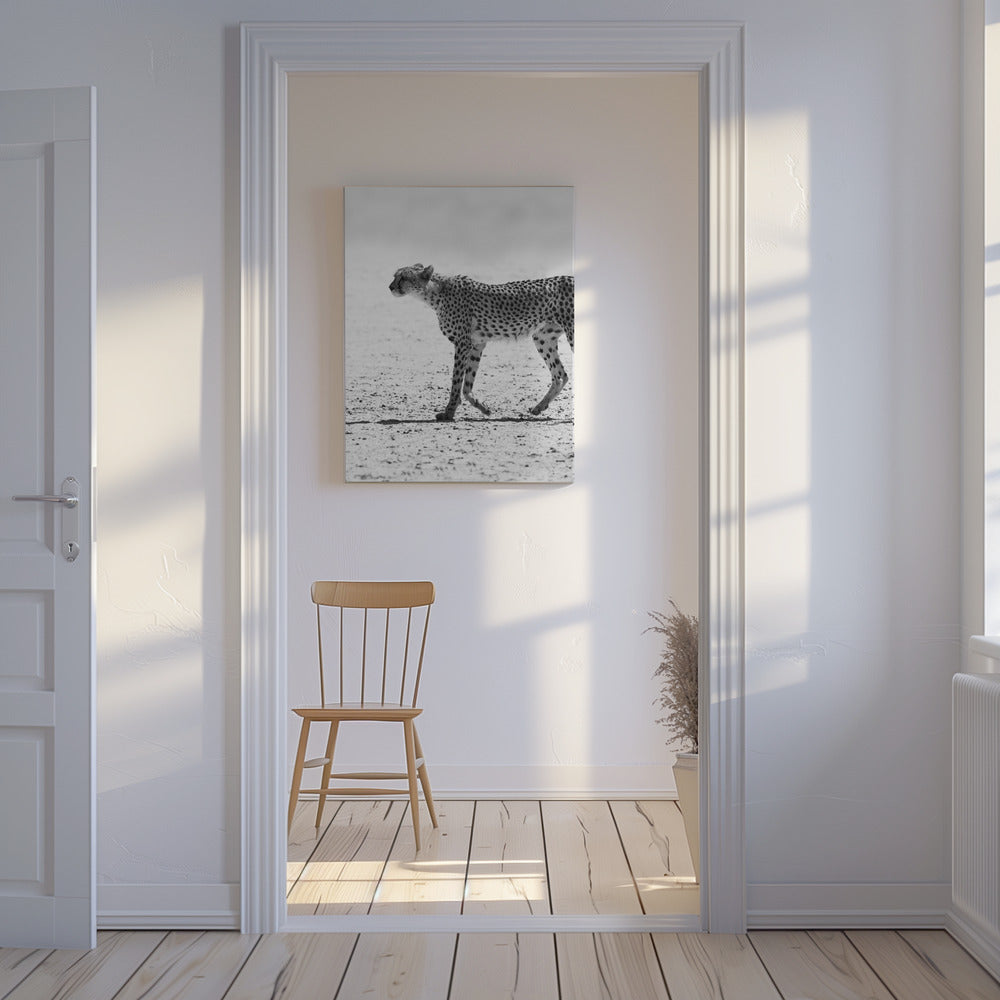 Cheetha | Canvas
