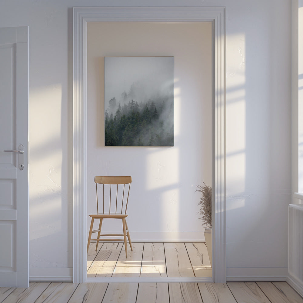 Mattina nebbiosa 2 | Stampe su Tela