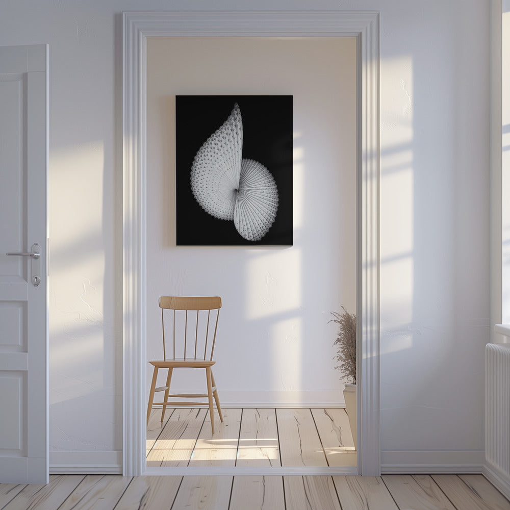 Nautilus-ähnliche Skulptur | Leinwand-Bilder