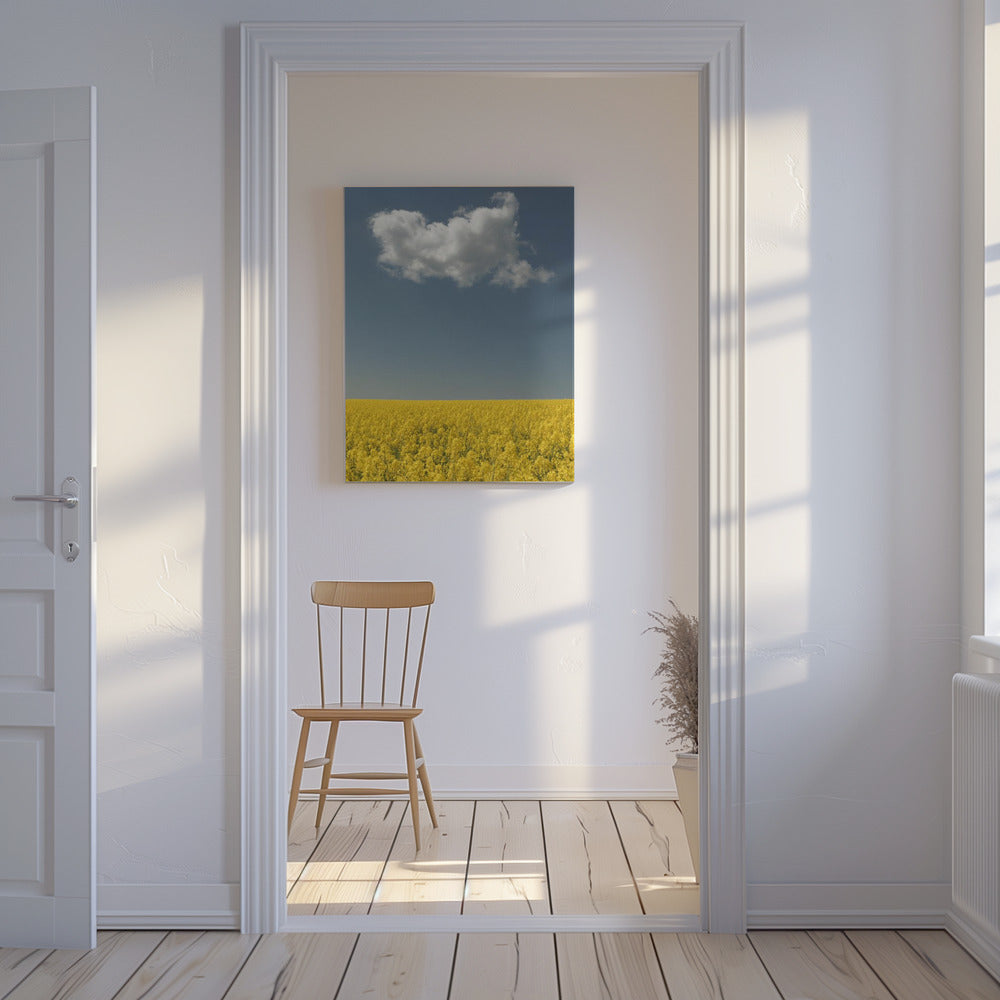 Vision | Tableaux sur Toile