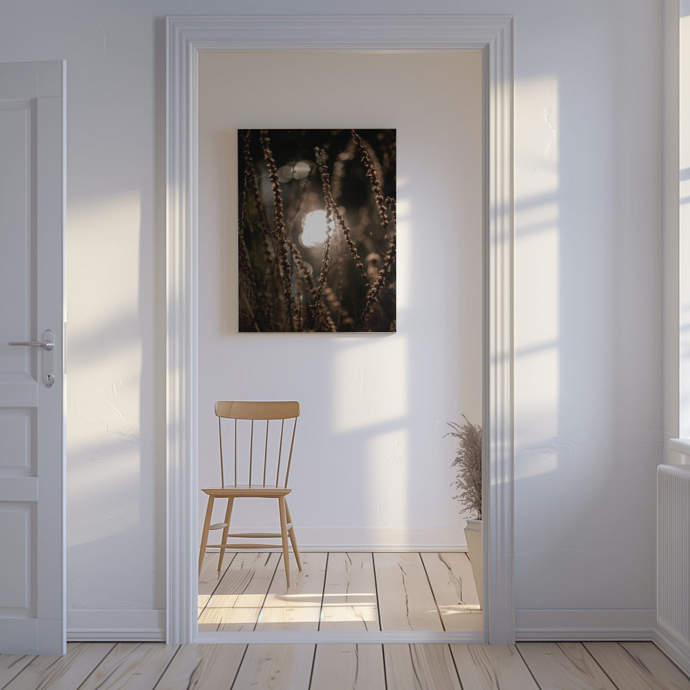 Luci d'autunno 2 | Stampe su Tela