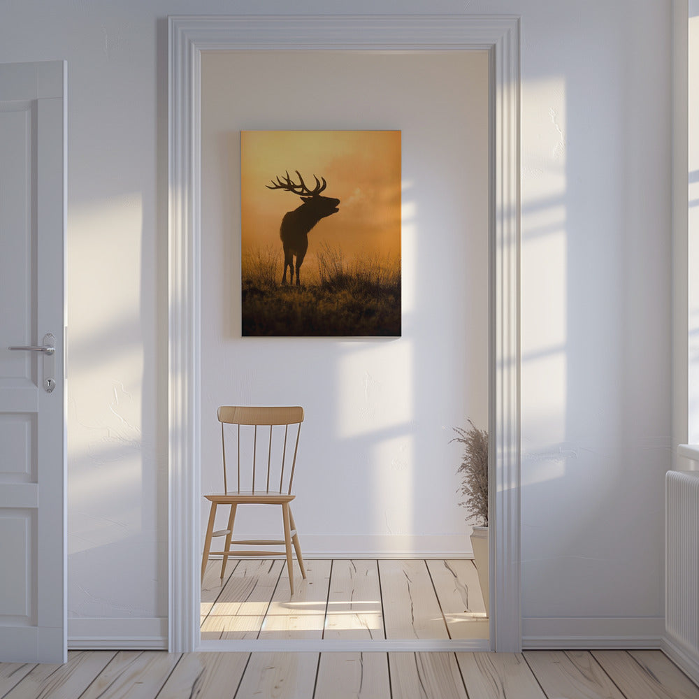 Morning call | Canvas