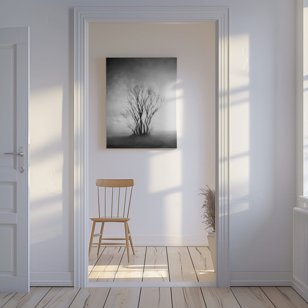 naked | Canvas