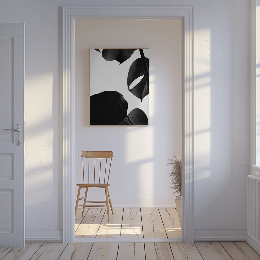 Contrasty Monstera | Canvas