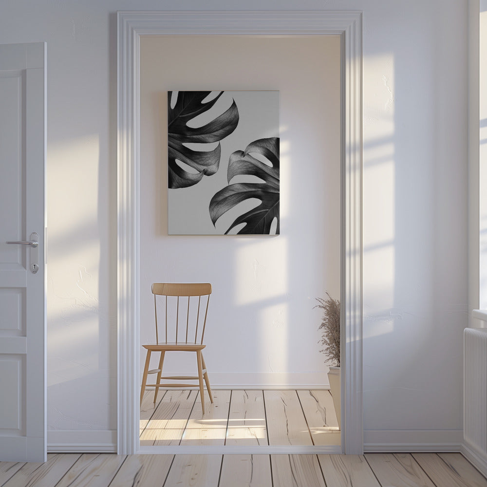Monochrome Mostera Poster | Canvas