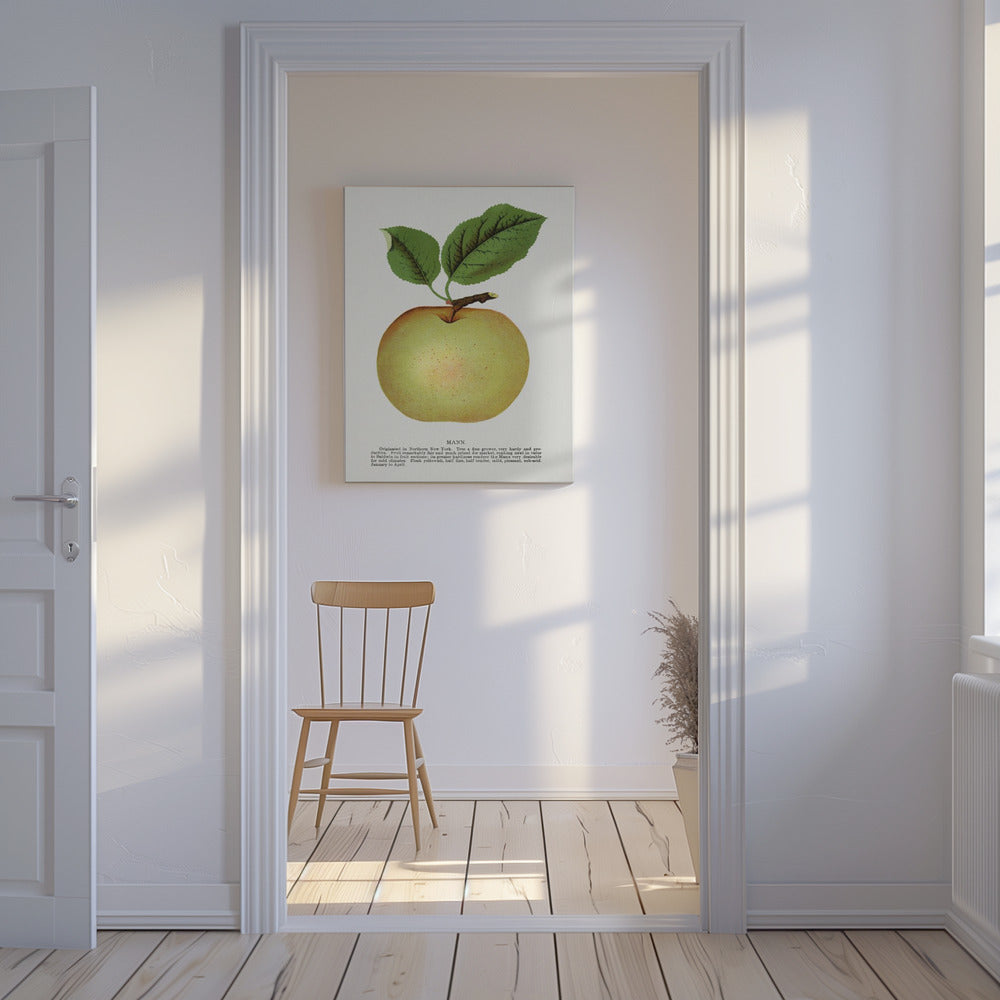 Mann Apple Lithographie | Leinwand