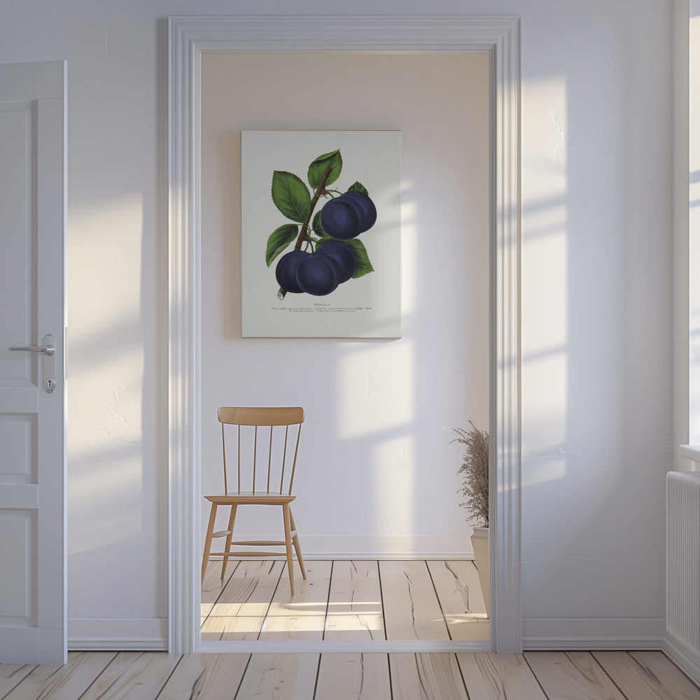 Niagara Plum Lithographie | Leinwand
