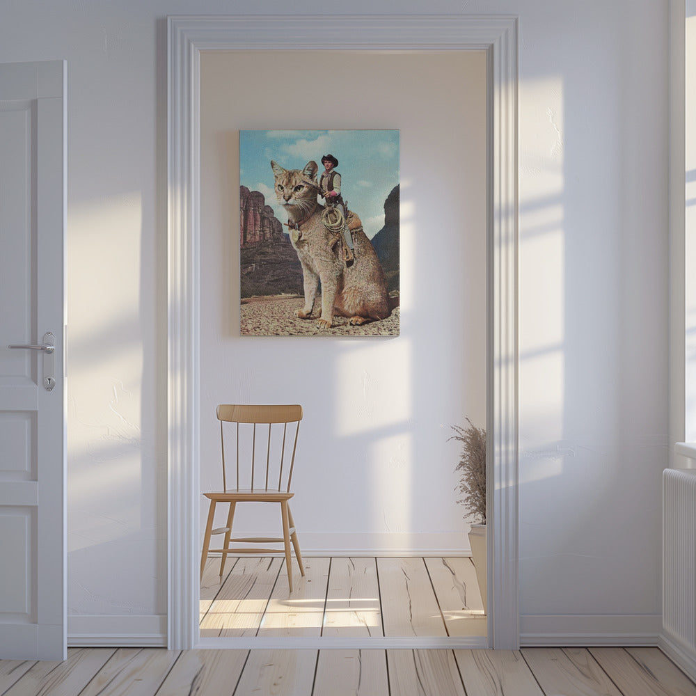 Kot Samotny Jeździec | Wydruki na łótnie