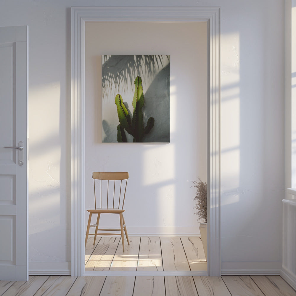 Cienie Socal | Wydruki na łótnie