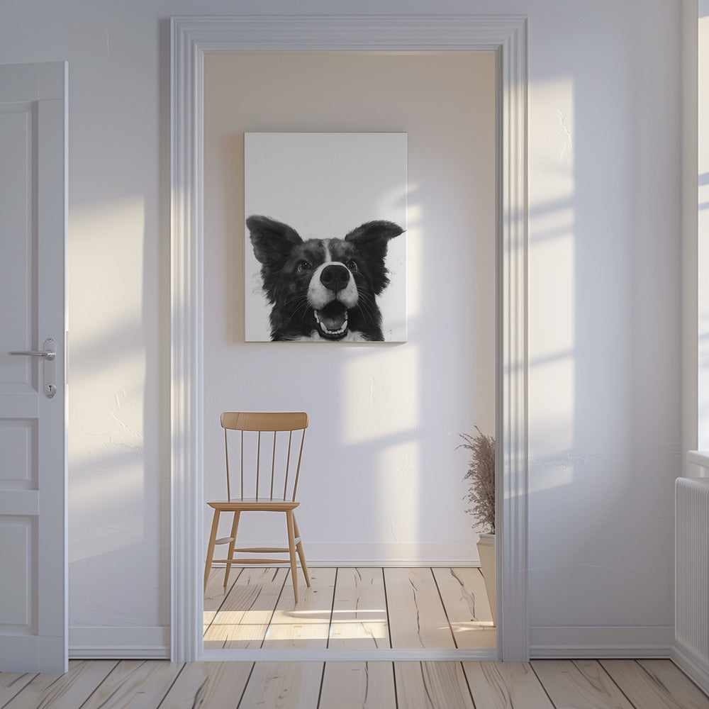 Sguardo canino gioioso | Stampe su Tela