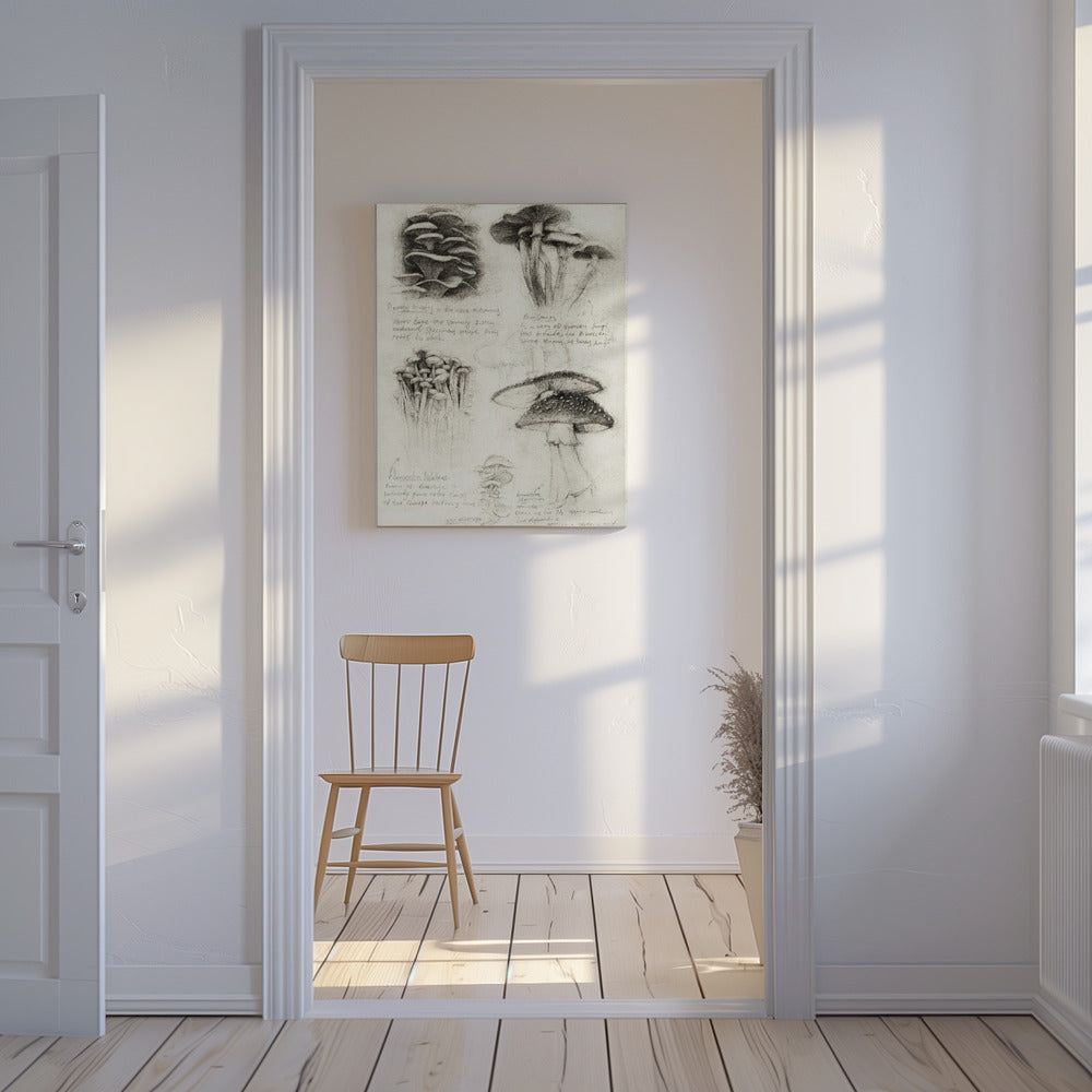 Various Botanical Mushrooms | Canvas