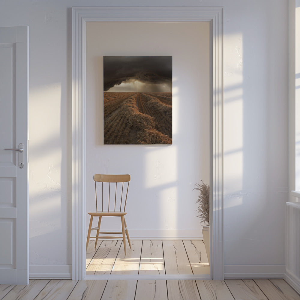 Untitled | Canvas