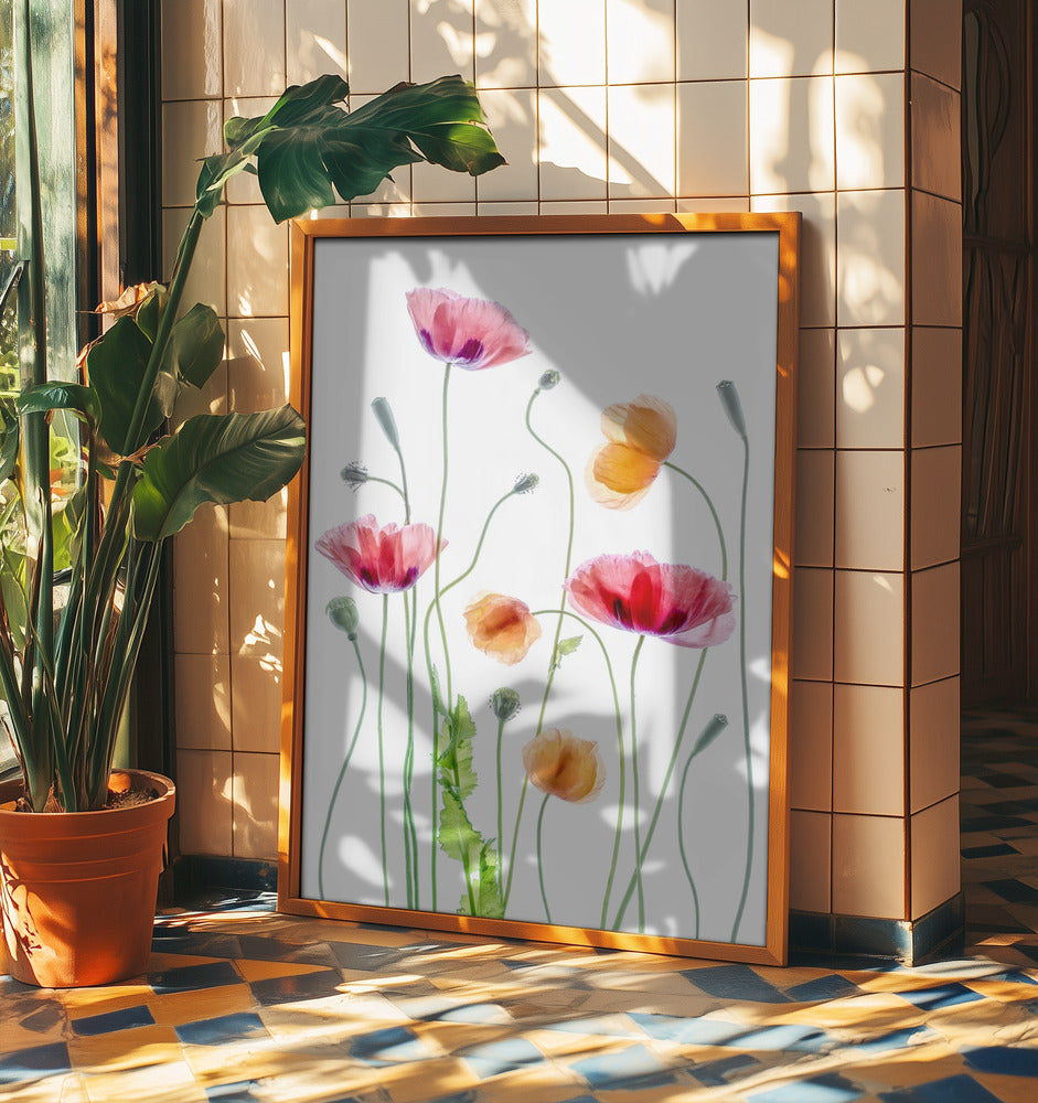 Poppies | Poster
