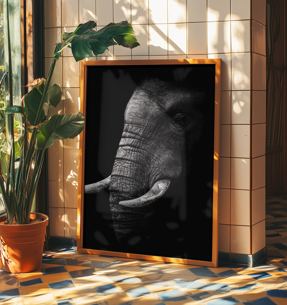 Portrait | Poster