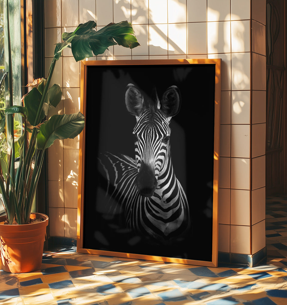The Zebra | Poster