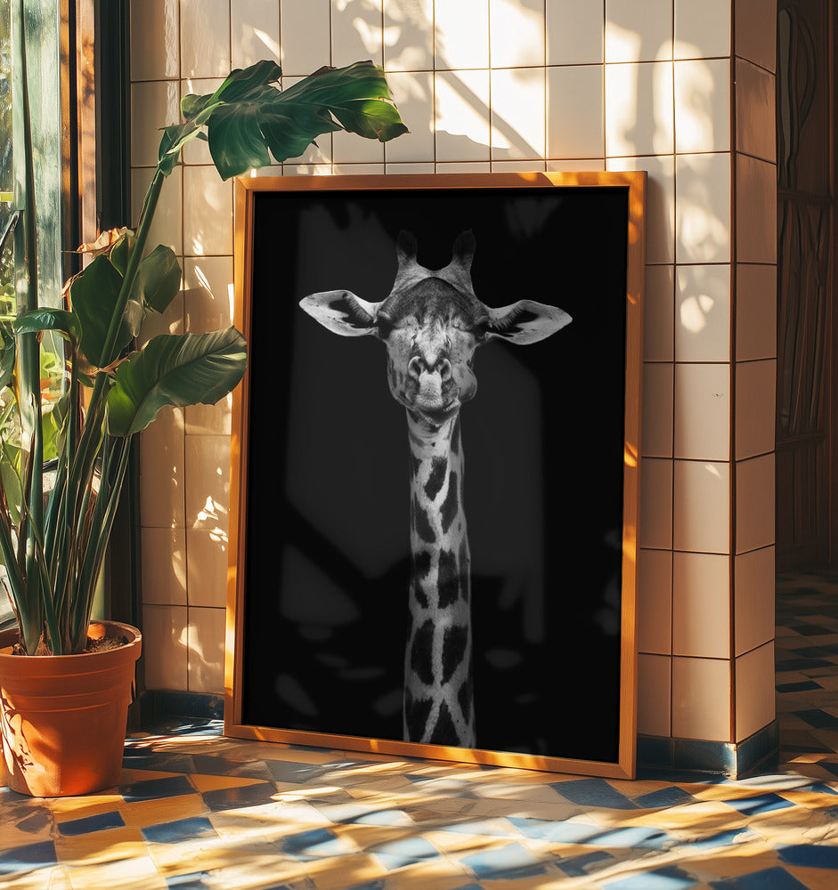 Giraffe Portrait | Poster