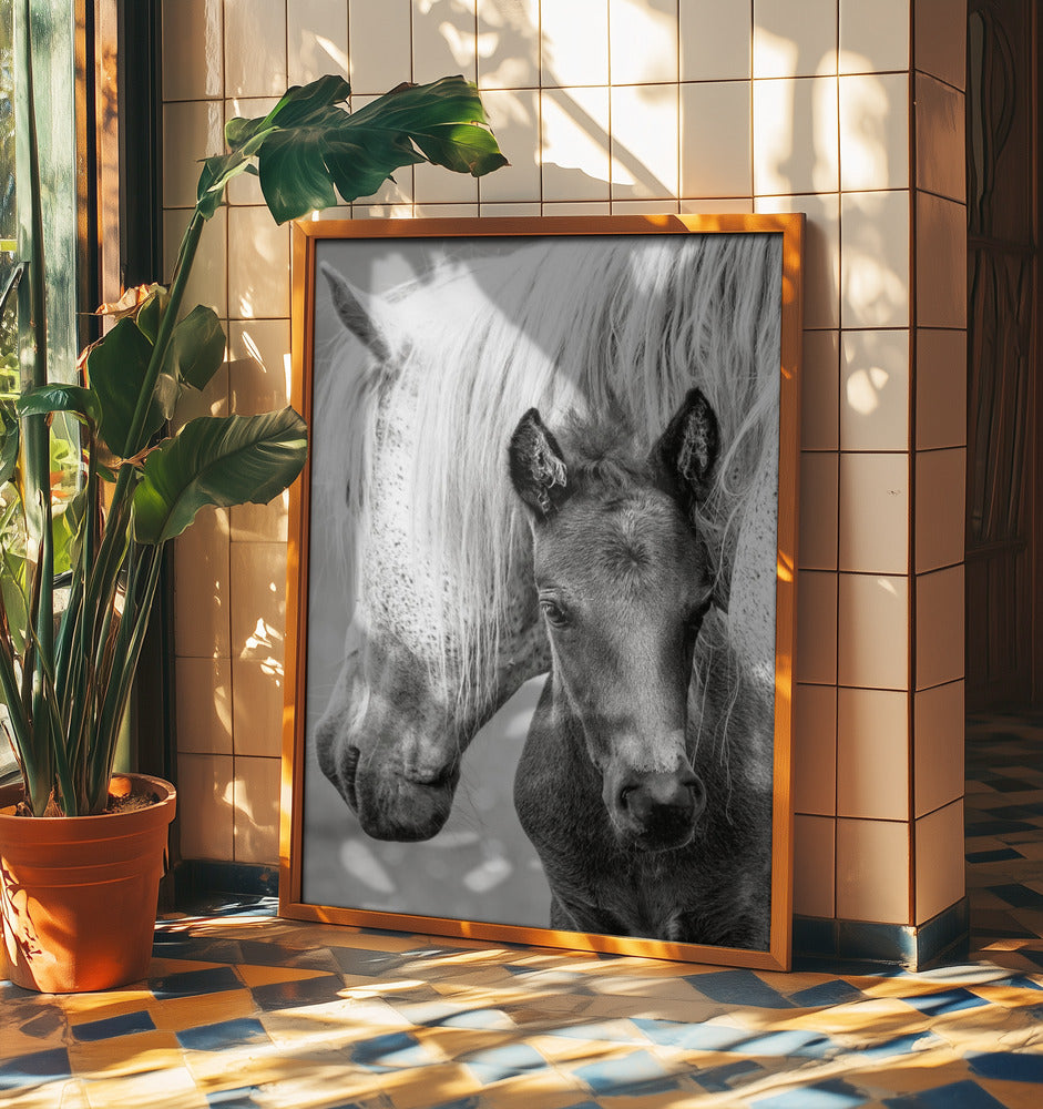 The Foal | Poster