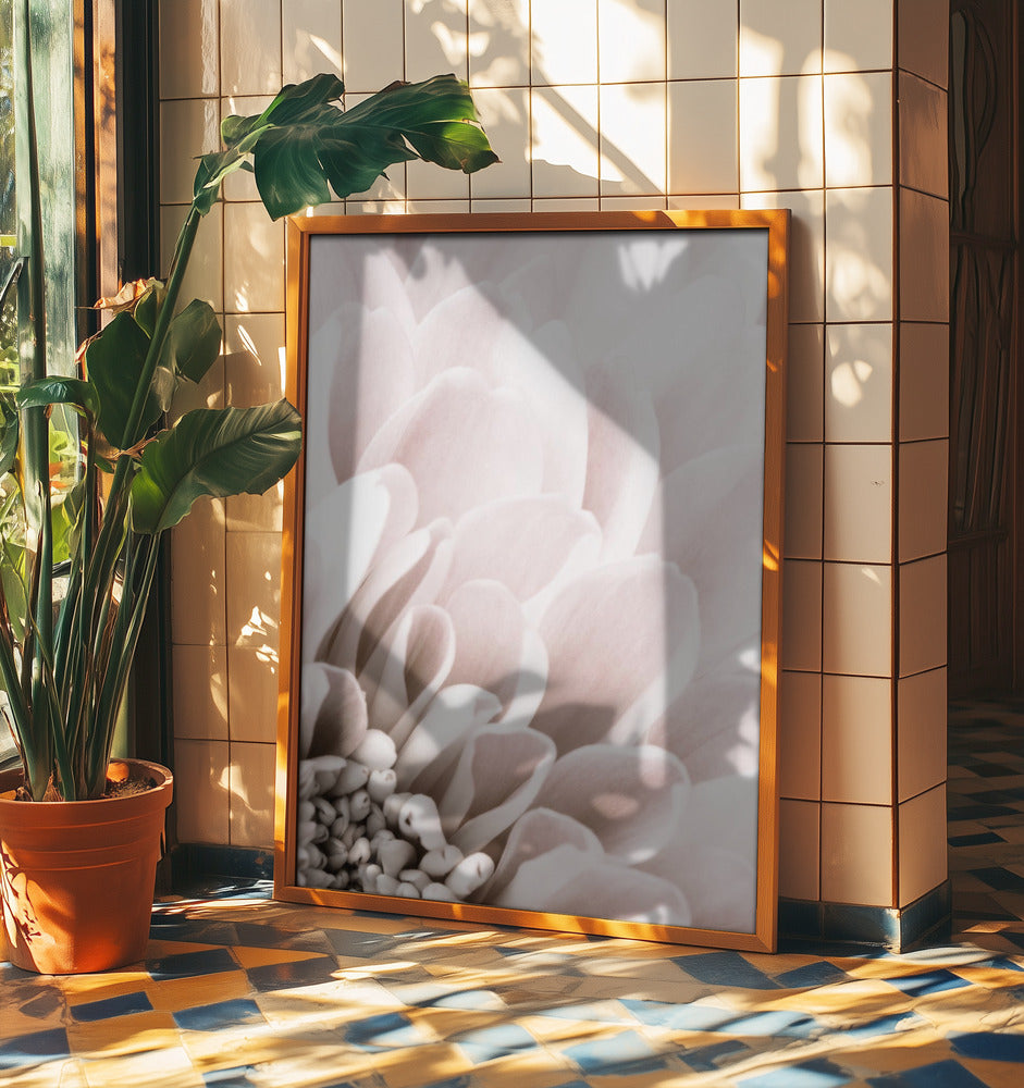 Chrysanthemum No 03 | Poster