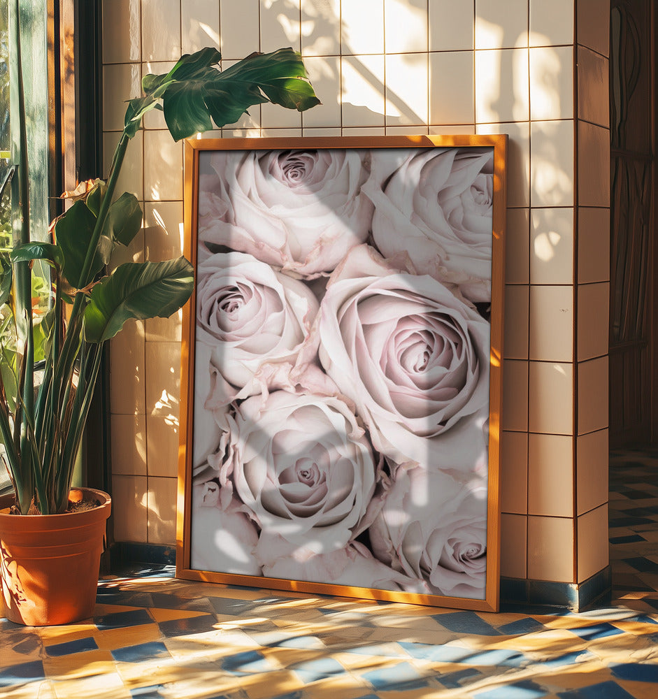 Pink Roses No 01 | Poster