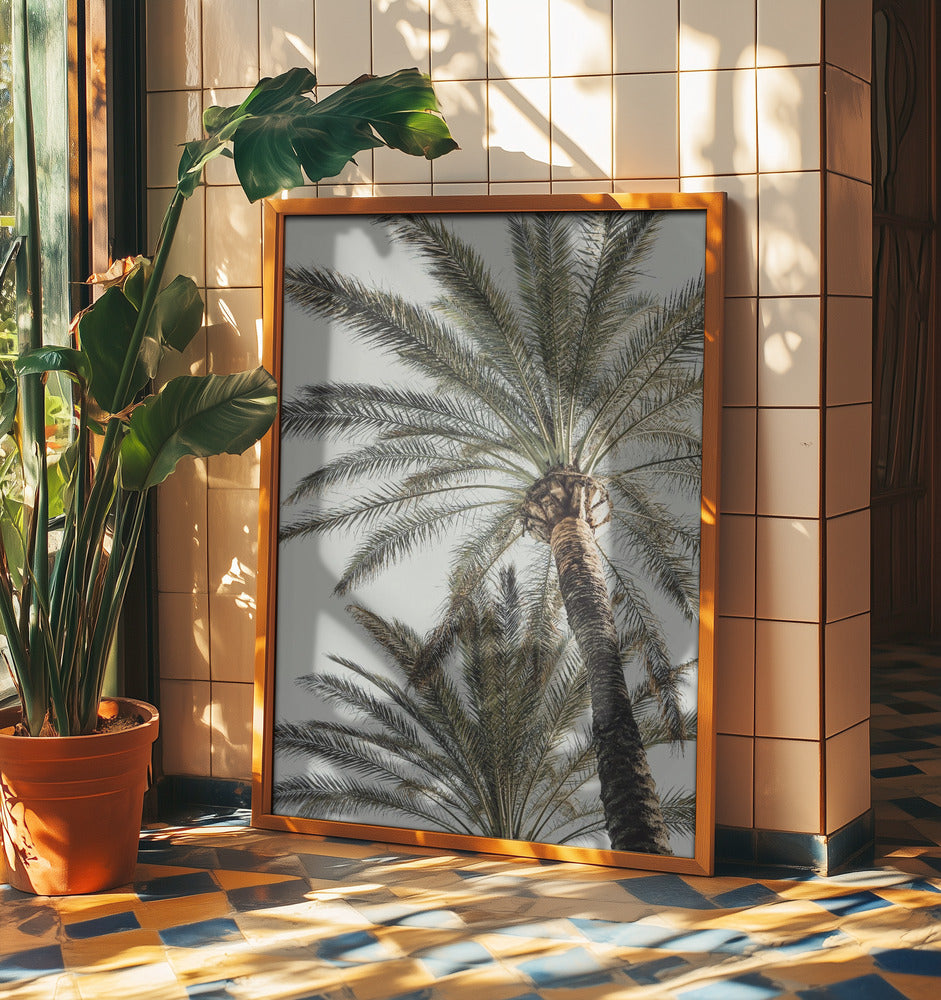 Palm_005 | Poster