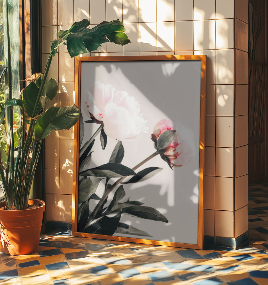 Peony 23 | Poster