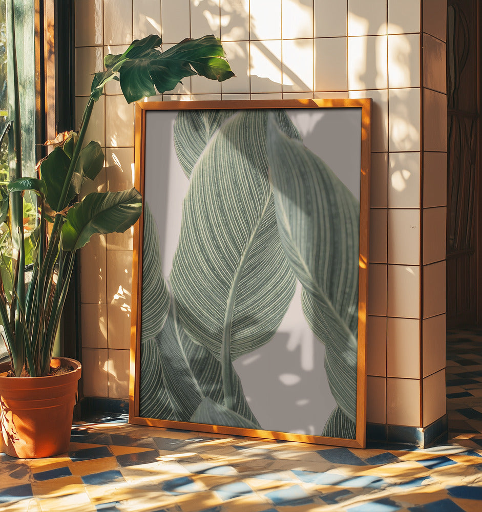 Calla-Blatt | Poster - Kunstdruck