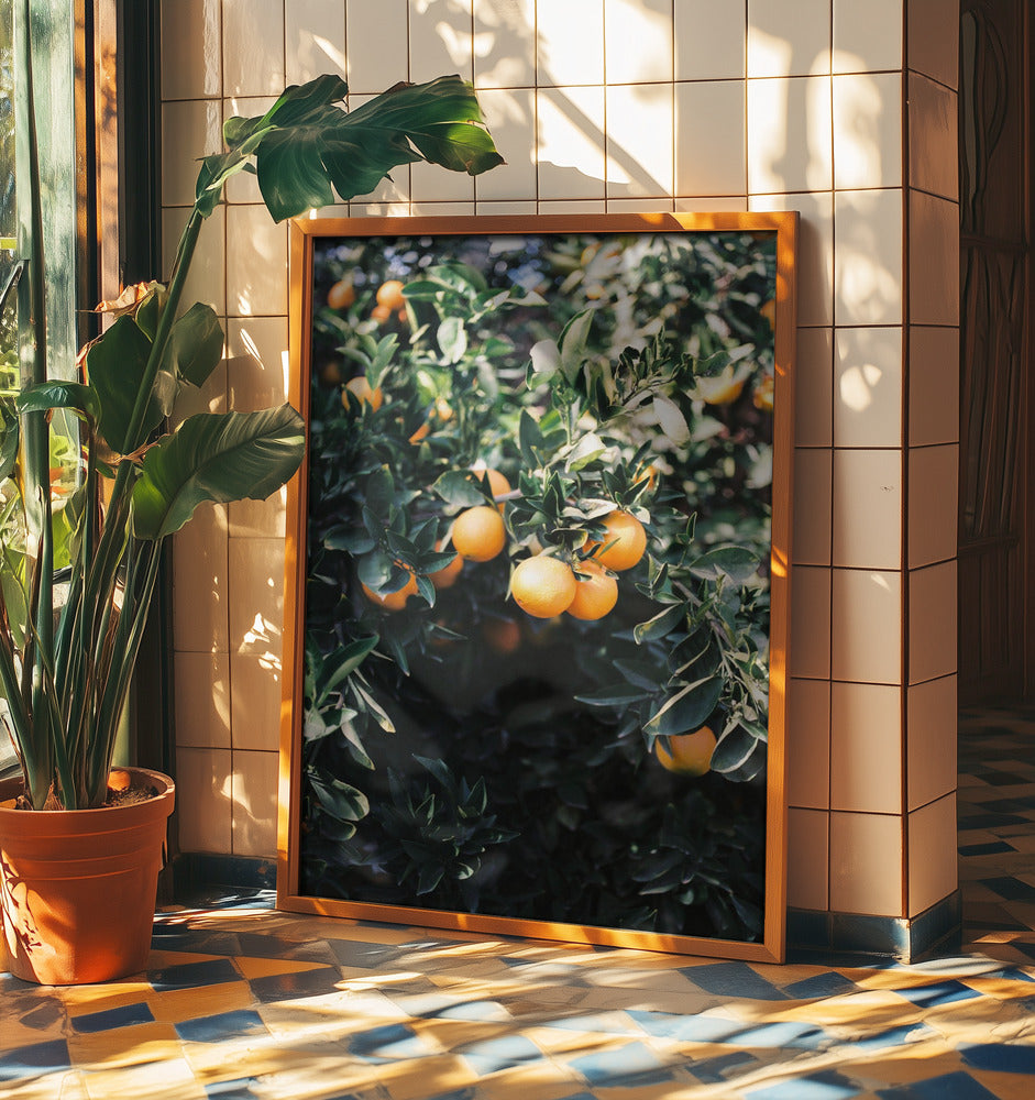 Oranges de Marrakech | Posters - Affiche Artistique