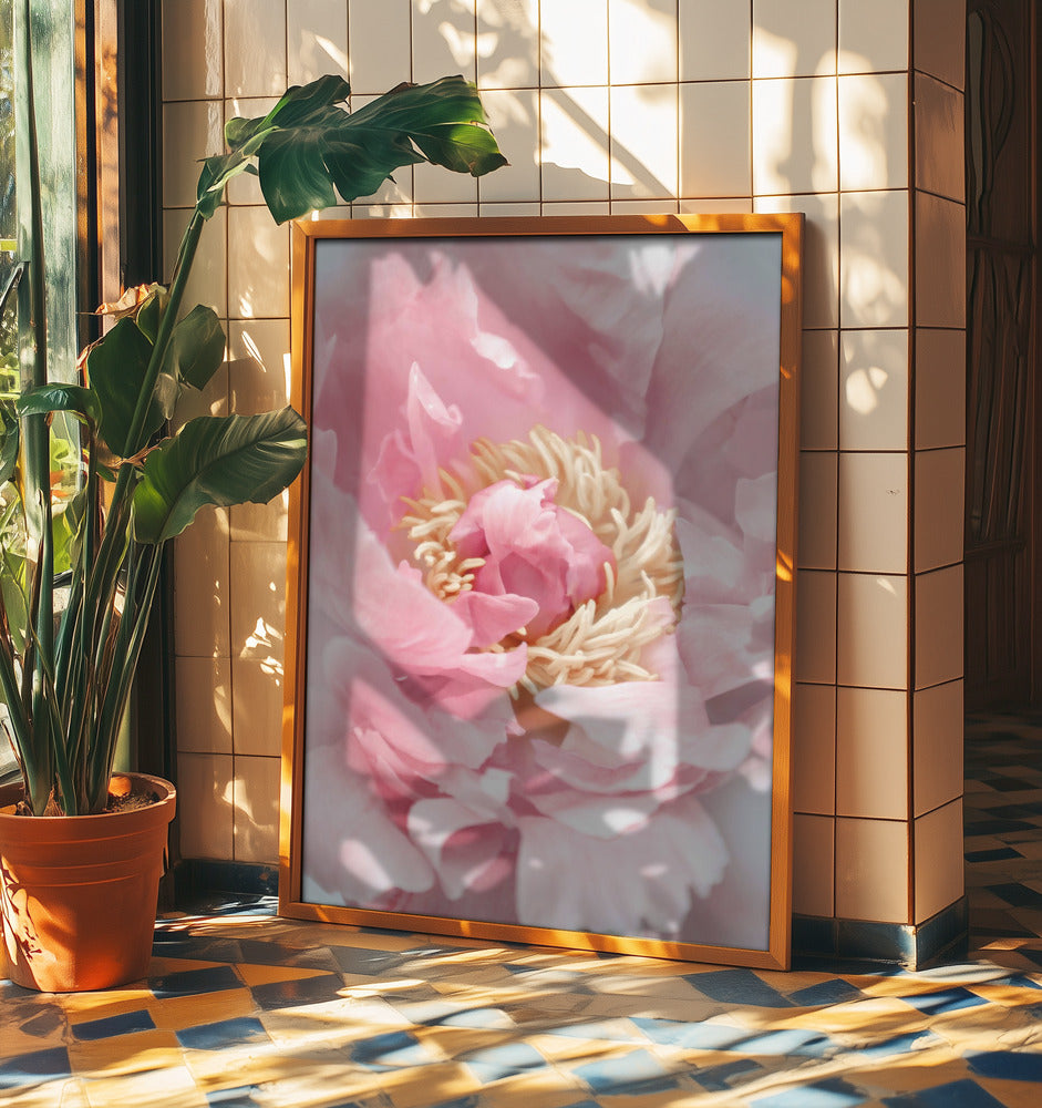 Blush peony I | Poster