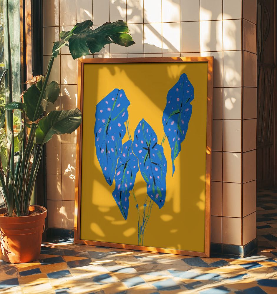 Begonia Maculata Blue and Yellow | Poster