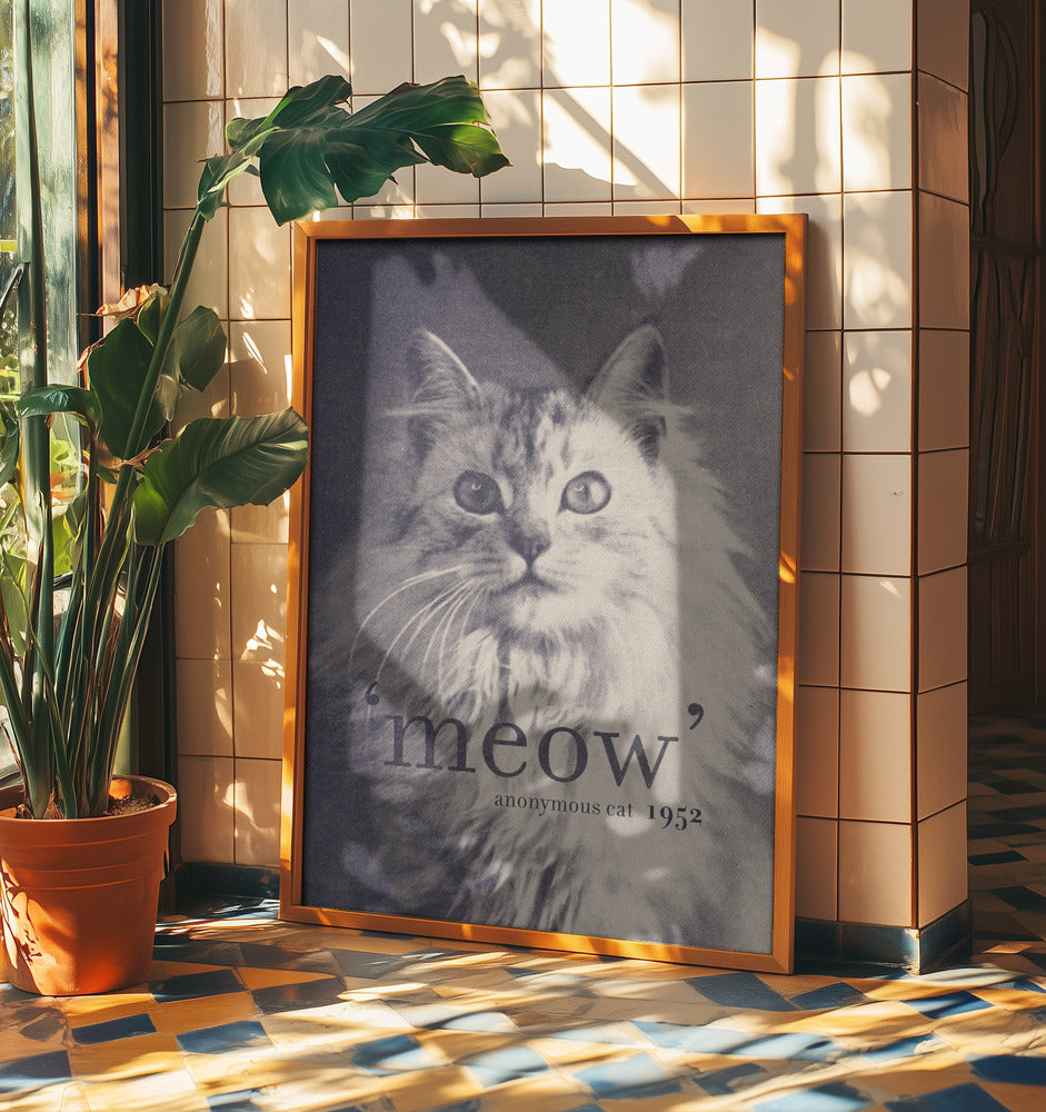 Berühmtes Zitat Katze | Poster